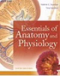 Essentials of anatomy and physiology