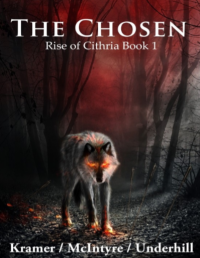 The chosen rise of cithria book 1