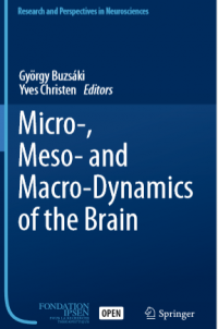 Micro,meso and macro dynamics of the brain