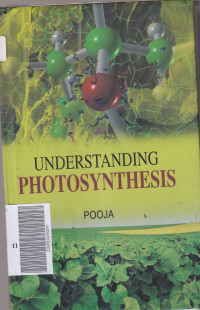 Understanding photosynthesis