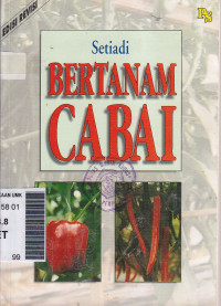 Bertanam cabai