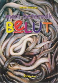 Mari beternak belut