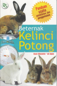 Beternak kelinci potong