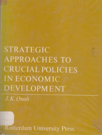 Strategic approaches to crucial policies in economic development