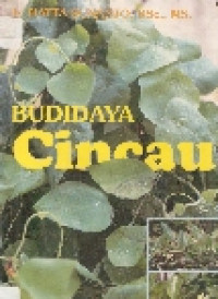 Budidaya cincau