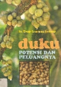 Duku: potensi dan peluangnya