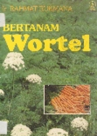 Bertanam wortel