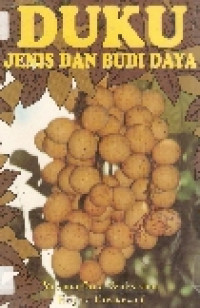 Duku: jenis dan budi daya