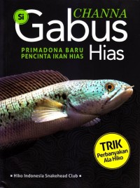 Channa si gabus hias