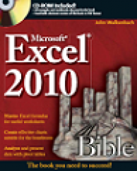 Excel 2010 bible