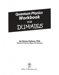 Quantum physics workbook for dummies