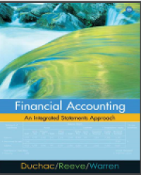 Financial accounting an integrated statement approach