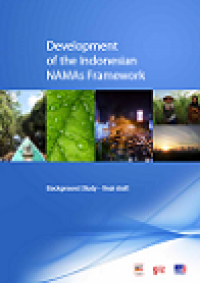 Development of the indonesian namas framework