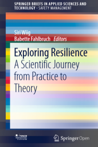 Exploring resilience a scientific journey from practice to theory