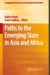 Paths to the emerging state in asia and africa