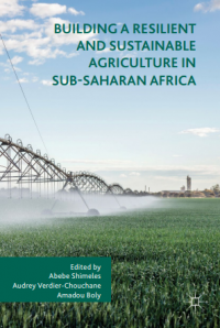 Building a resilient and sustainable agriculture in sub-saharan africa