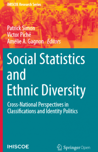 Social statistics and ethnic diversity