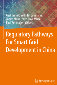 Regulatory pathways for smart grid development in china