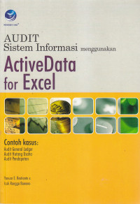 Audit sistem informasi menggunakan activedata for excel