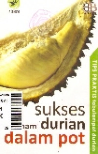 Sukses menanam durian dalam pot: tips praktis tabulampot durian