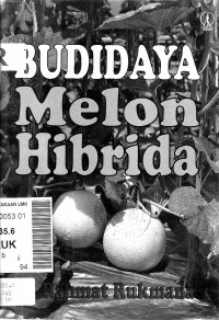 Budidaya melon hibrida