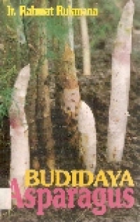 Image of Budidaya asparagus