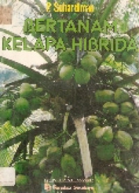 Bertanam kelapa hibrida