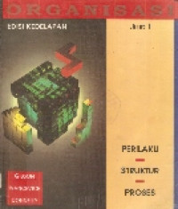Organisasi: perilaku, struktur, proses jilid 1 ed.VIII