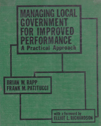 Managing local government for improved performance: a practical approach
