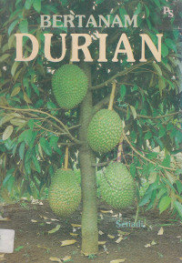 Bertanam durian